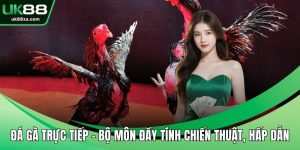 Đá gà trực tiếp