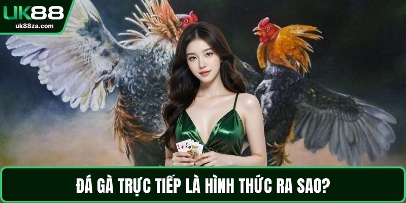 Đá gà trực tiếp là hình thức ra sao?
