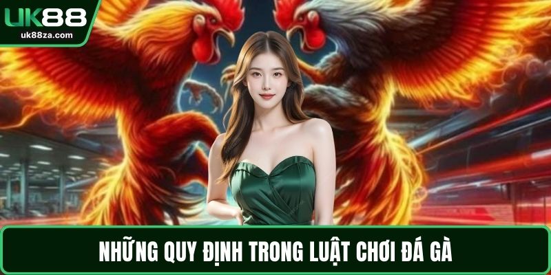 Những quy định trong luật chơi đá gà